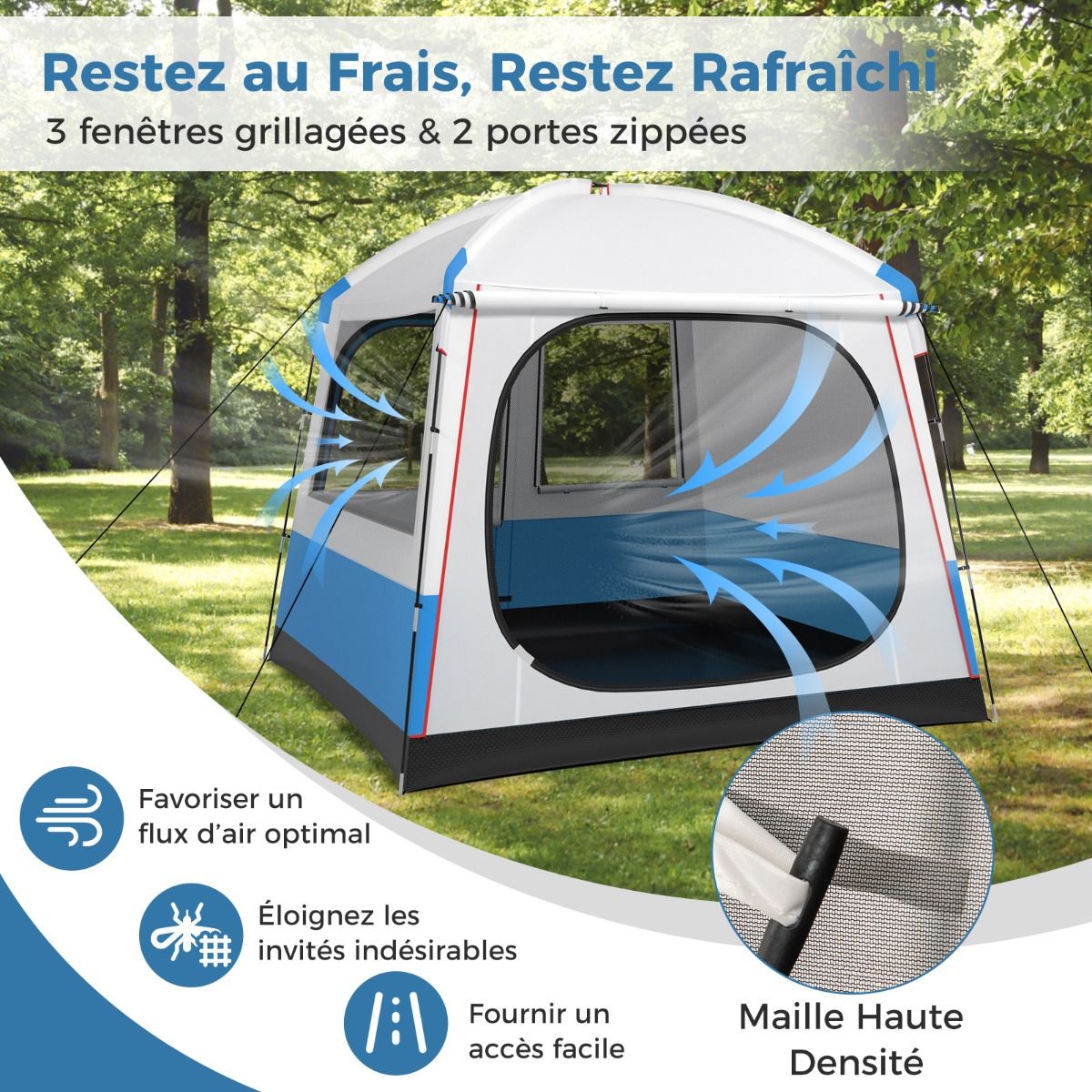 5 Person Camping Tent Waterproof Dome Tent with Mesh Door and Windows Carry Bag 248x248x230cm Blue + White -