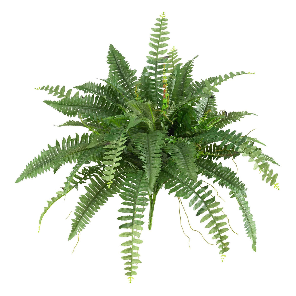 Nearly Natural Home Decor 40" Boston Fern - Set of 2 - Product image 1